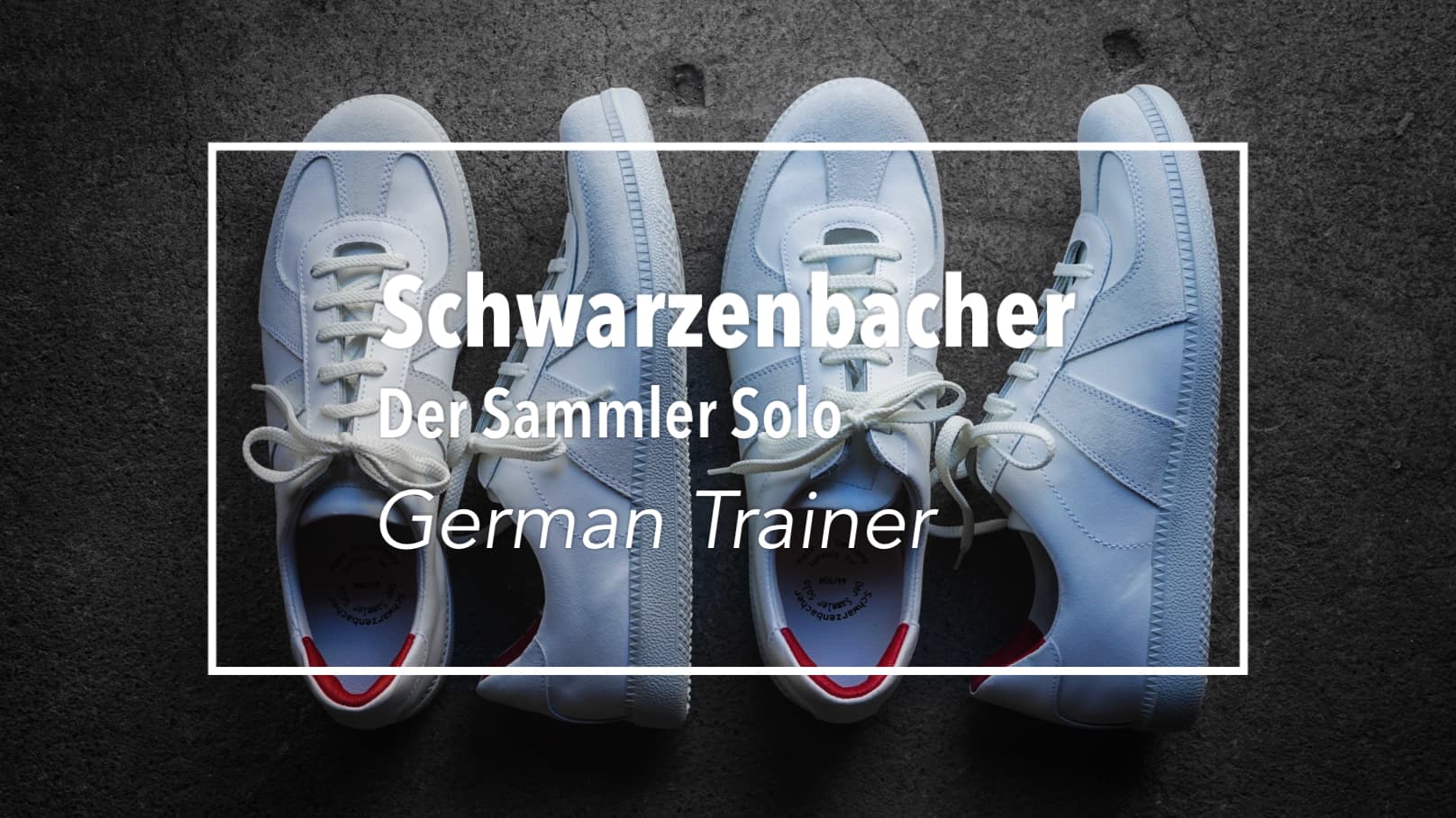 SchwarzenbacherGermanTrainer